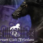 dream-gait-friesians