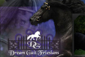 dream-gait-friesians