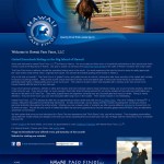 hawali-paso-finos-large